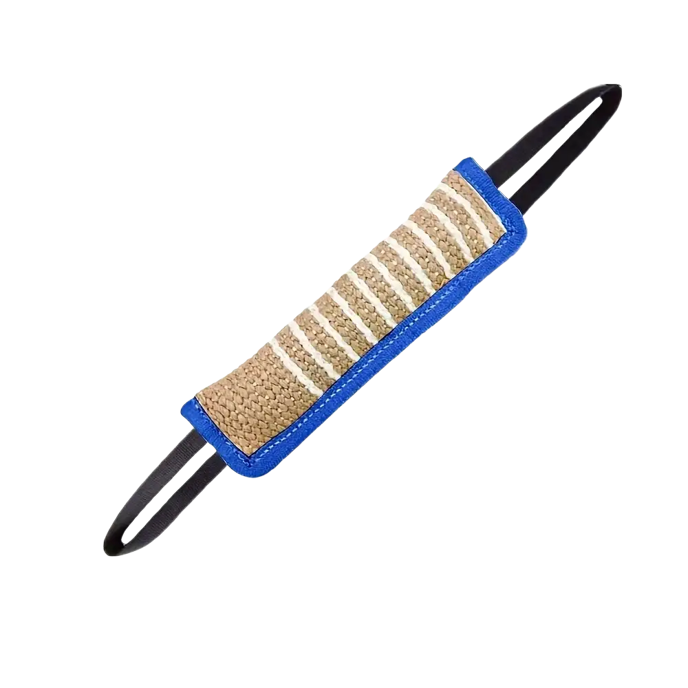 Jouet à mâcher durable en jute pour chien avec un cadre bleu et une texture de corde tissée beige et blanche, présenté de face