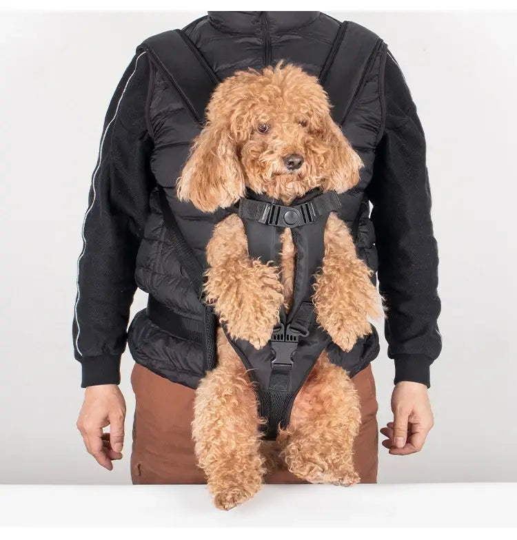 Sac à dos porte-animaux noir réglable avec sangles rembourrées et fermetures à boucle, conçu comme sac à dos de transport pour petits chiens et chats