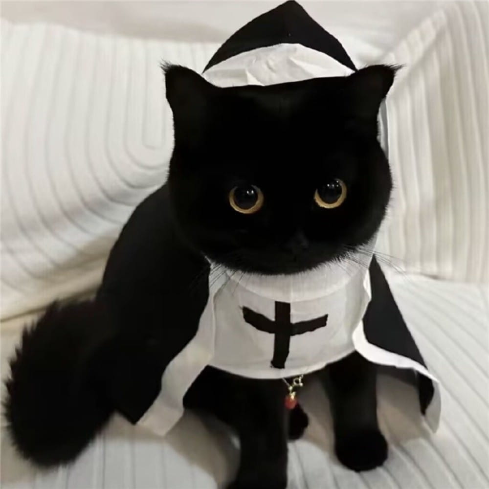 Un gato negro que lleva un disfraz de monja para perro-gato mascota en blanco y negro hecho de fibra de poliéster, con un emblema de cruz en el pecho.