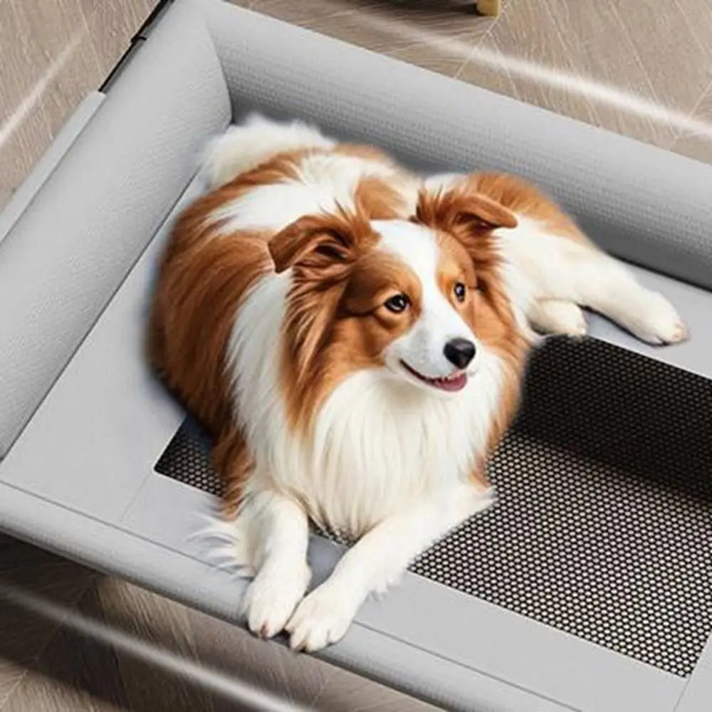 A cozy gray elevated dog bed with breathable mesh panels and soft cushioning featuring a fluffy brown and white dog lounging comfortably inside.
