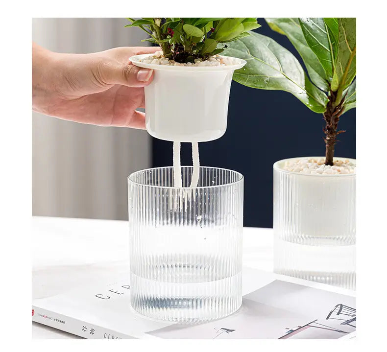 Weiße Kunststoff-Untersetzer-Schale für Pflanzen mit integrierten Tropfbewässerungsrohren für selbstbewässernde Indoor-Pflanztöpfe aus Glas als Schreibtisch-Planter.