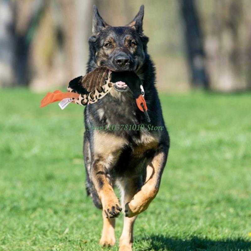 chien berger allemand noir et feu portant un jouet en peluche en forme de canard avec pattes orange, fixé à un leurre de dressage rétractable pour chien avec plusieurs accessoires, conçu pour un jeu interactif