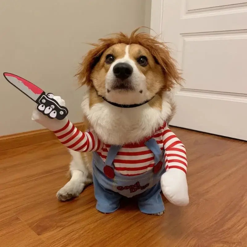 Un perro vestido con un disfraz divertido de muñeco asesino, que lleva una camisa de rayas rojas y blancas con peto azul, una peluca marrón y sostiene un accesorio de cuchillo con empuñadura rosa.