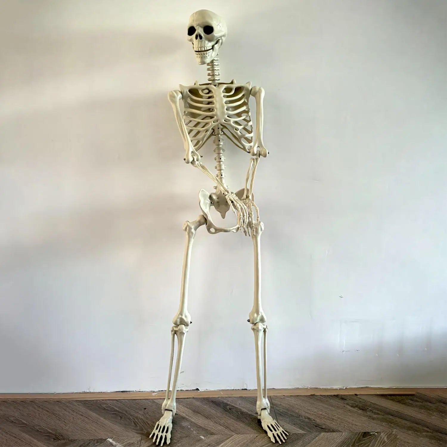 un esqueleto de Halloween de plástico color marfil pálido de tamaño completo, con articulaciones articuladas y una estructura ósea detallada, utilizado como decoración posable para jardín en ambientes de casa encantada.