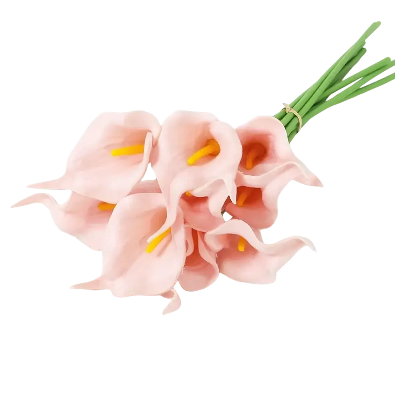 A delicate bouquet of pink calla lily flowers with yellow spadices tied by a gold-colored band for decoration