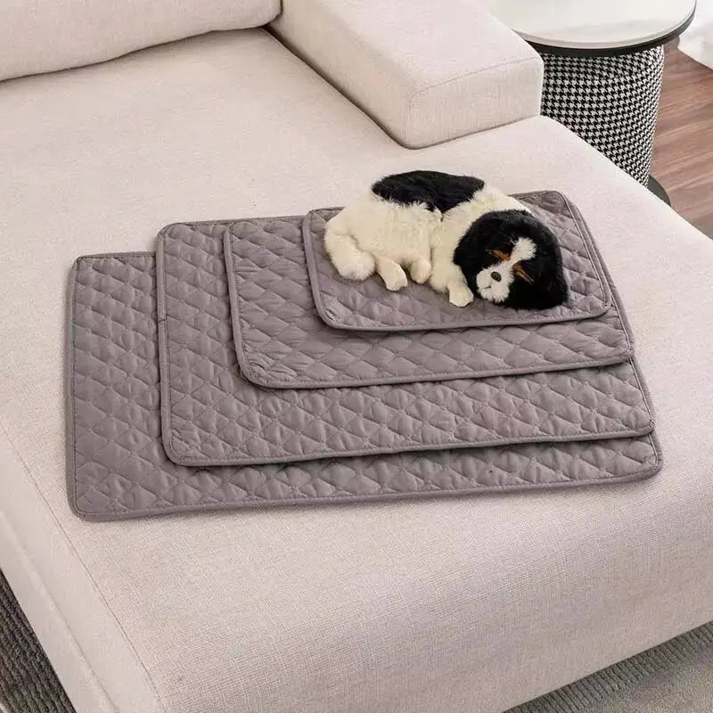 Set aus drei grauen, gepolsterten, wasserfesten Hundebettmatten mit einem plüschigen schwarzen-weißen Hund, der auf der kleinsten, als Möbel-Schutzunterlage ausgelegten Matte ruht.