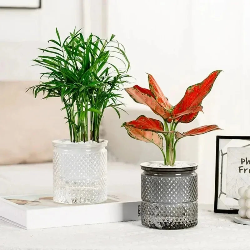 6pcs Self Watering Planter Pots Flowerpot Mini Round Design Succulent Plant Pot Indoor Lazy Flower Pot Garden Modern Decorative
