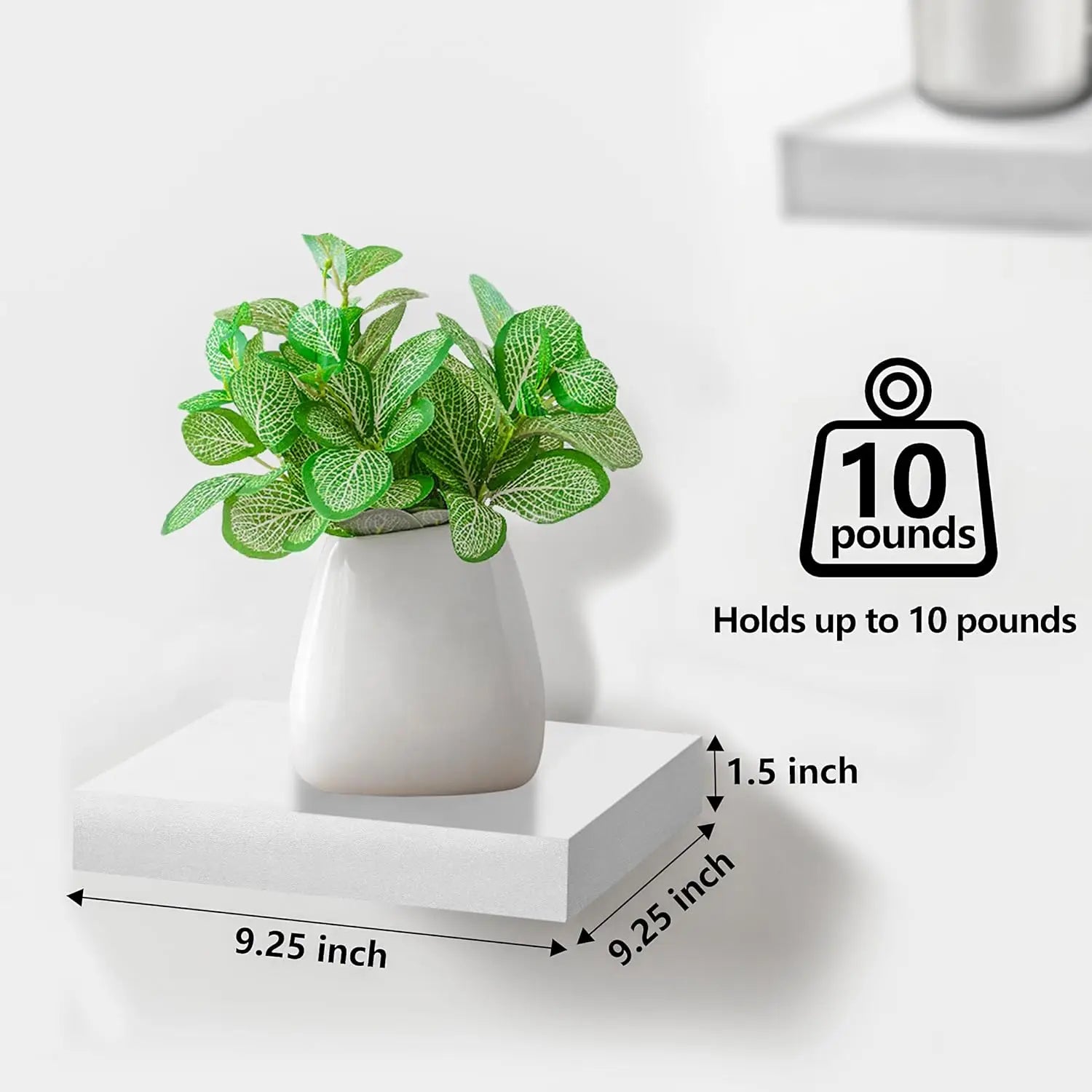 White ceramic planter with green leafy plant on a black modern wood display shelf wall organizer used as a decor display stand
