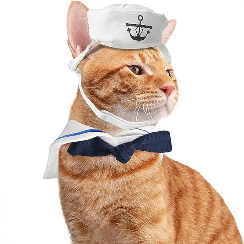 White sailor hat from cat sailor costume with black anchor emblem and adjustable strap.