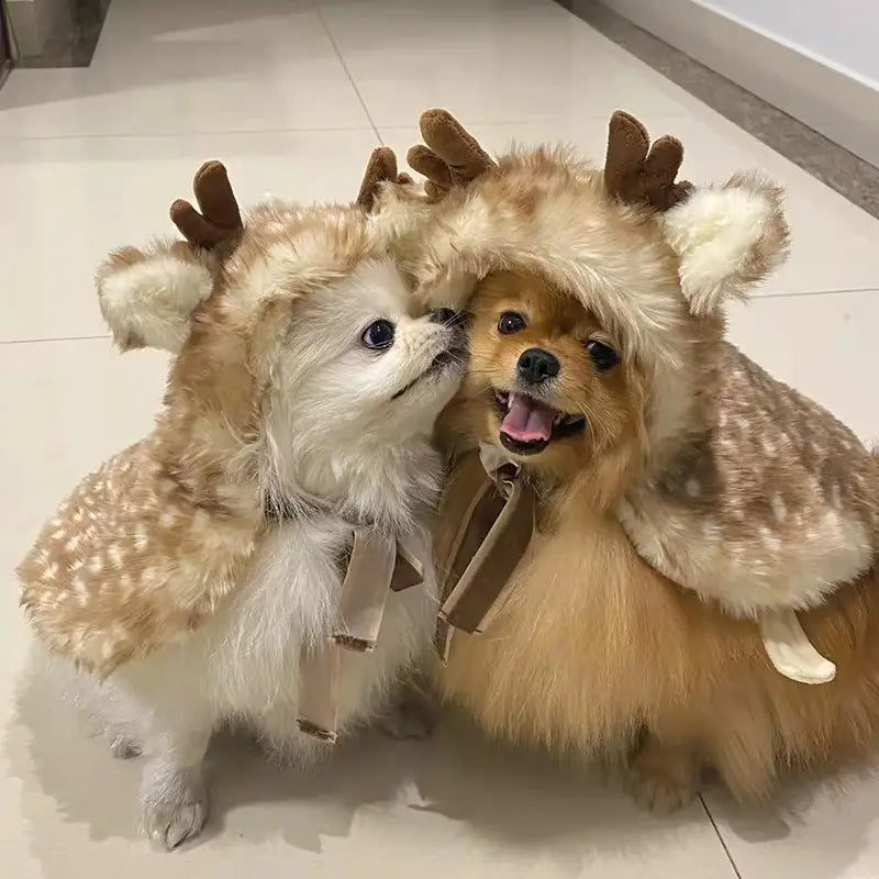 Two fluffy pomeranians wearing matching brown reindeer pet dog clothes with faux fur, antlers, and white-tipped ears designed for winter use.