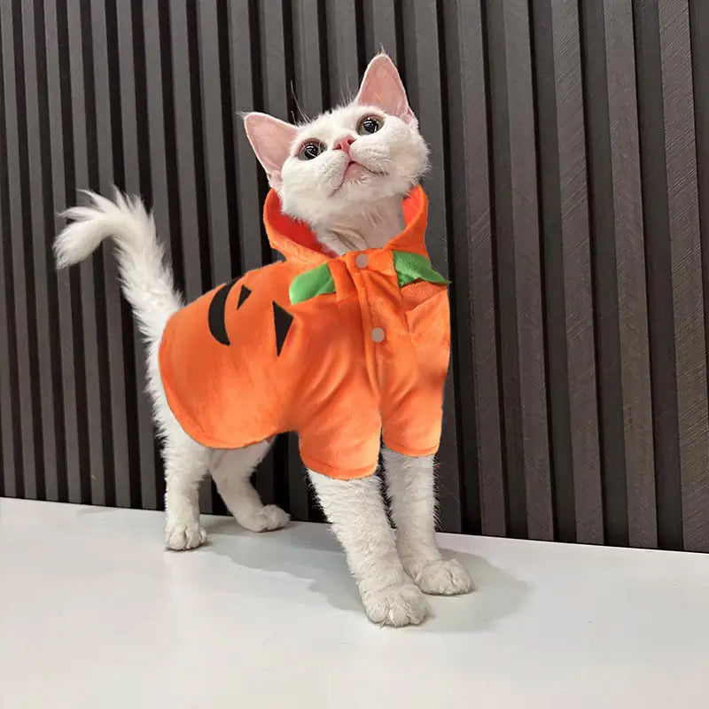 ユーモラスなパンプキンドッグのコスチューム用のペット服として設計された、猫向けのオレンジのぬいぐるみ風パンプキンをテーマにしたフリースフーディ。