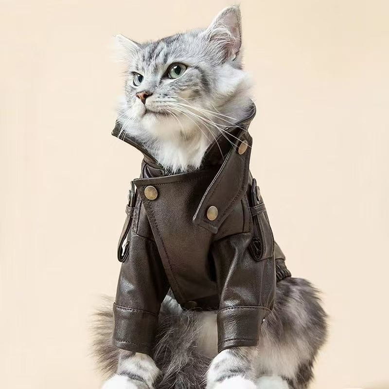 Una chaqueta cálida elegante para perro de piel sintética marrón oscuro con botones a presión de tono dorado y detalles sutiles de costura.