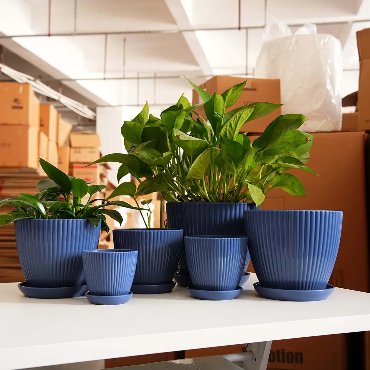 植え付けおよびガーデニング用途に適した、サイズの異なる青色リブ加工プラスチック製育苗ポットと同梱の受け皿5個セット。