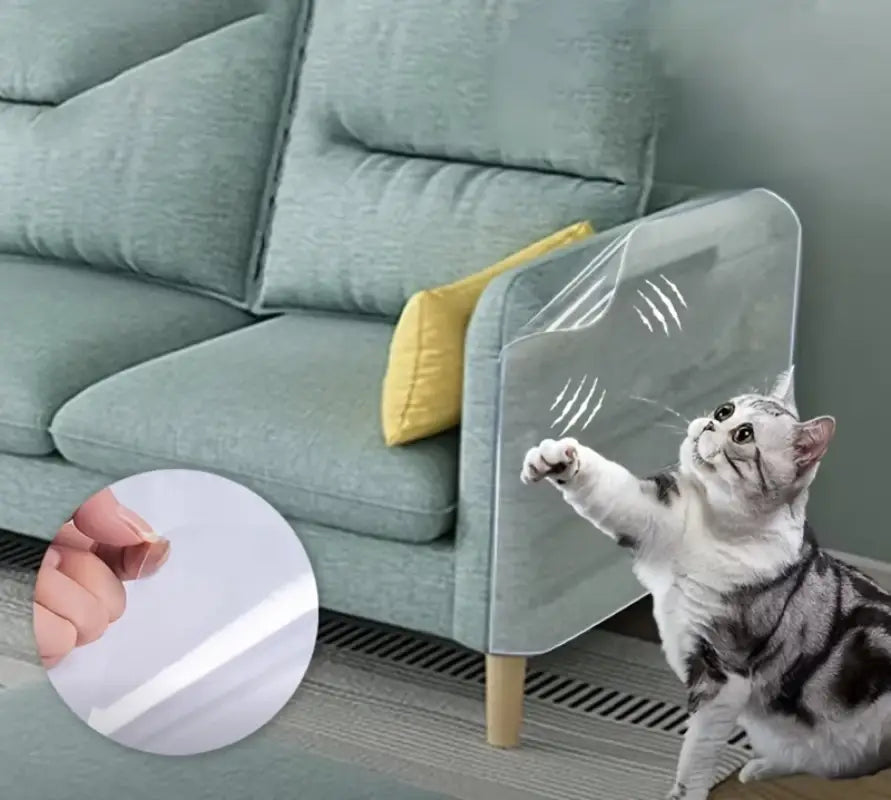 Film de protection de mobilier transparent, clair, protecteur, fabriqué dans un matériau durable, conçu pour protéger les surfaces contre les rayures et les griffes.