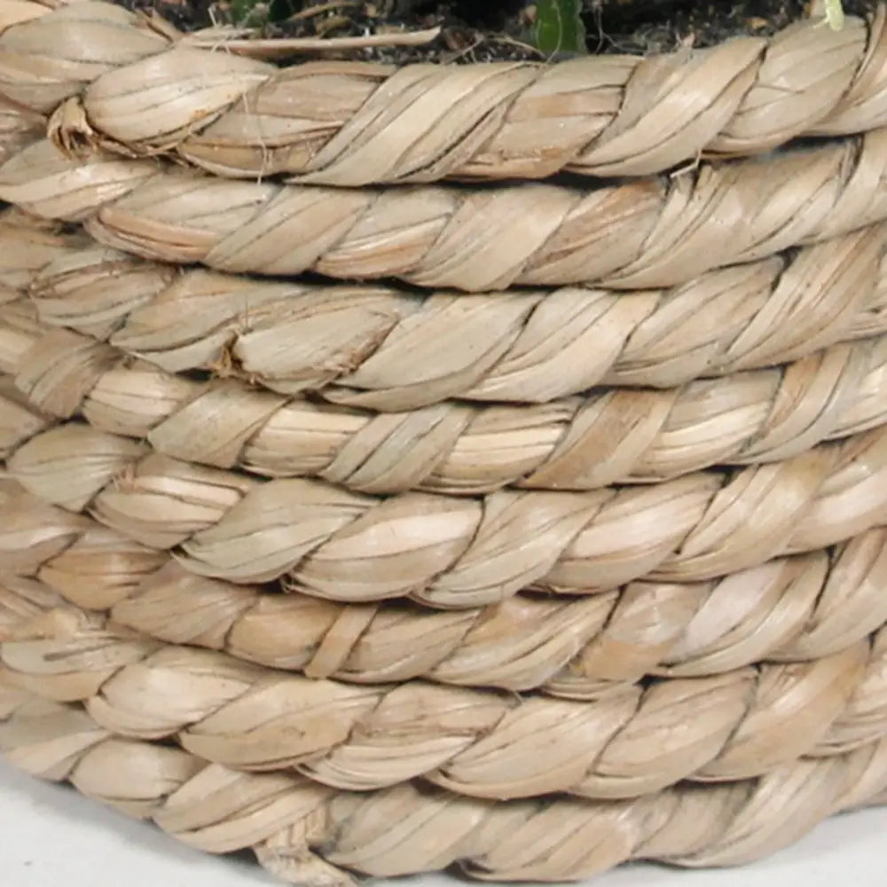 Un panier en corde beige tressée naturelle, au design tressé texturé, contenant une plante artificielle en pot d’eucalyptus de 11 cm