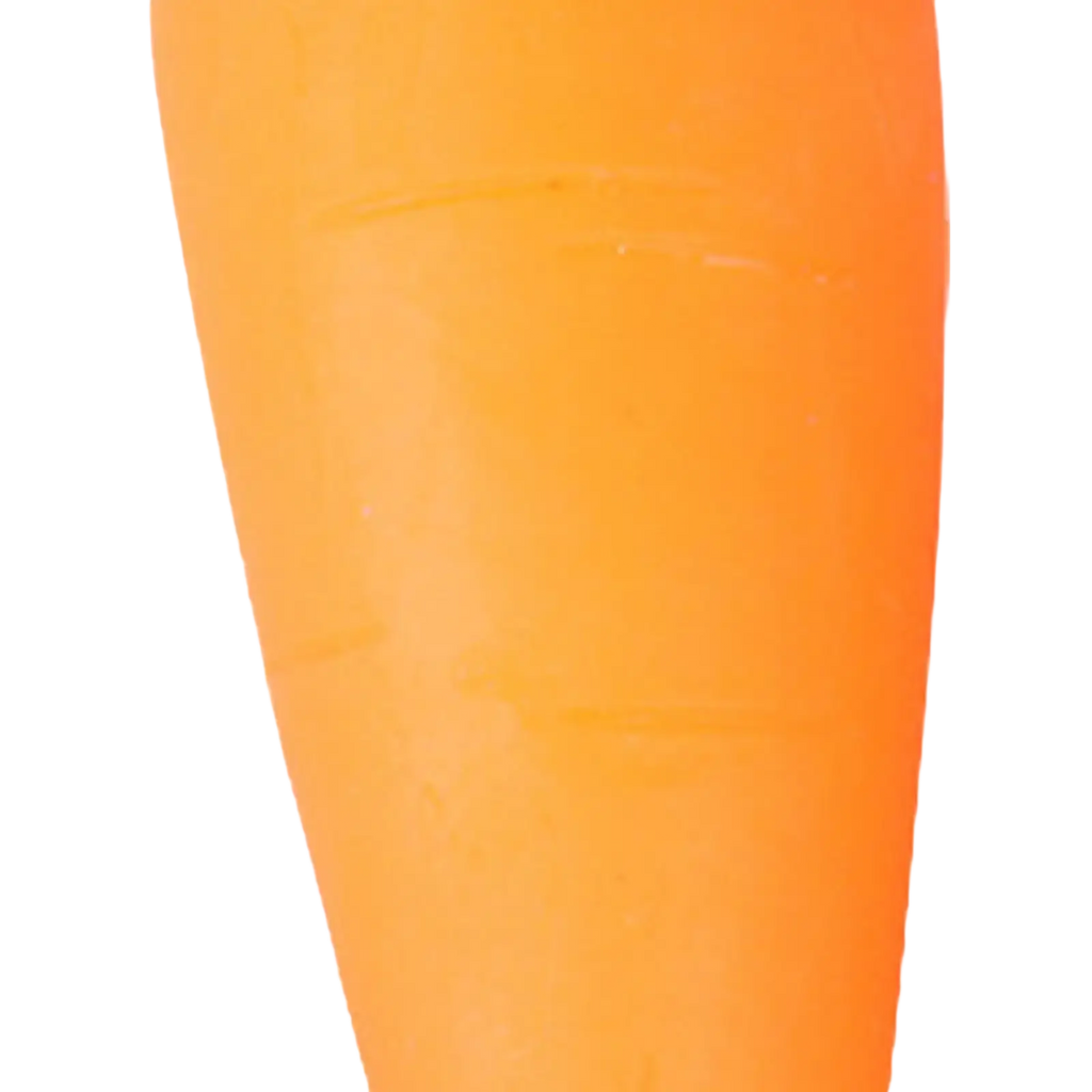 A vibrant orange carrot shaped slow rebound squeeze toy with smooth texture and subtle natural ridges visible from front angle
