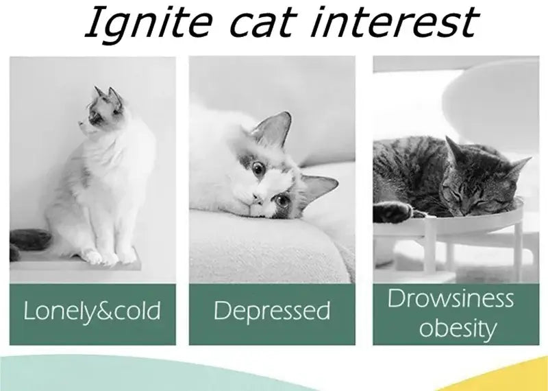 先の尖った耳を持つ白色と灰色の猫が、インタラクティブ飛行ディスクの猫用おもちゃの銃のそばでまっすぐに座り、警戒している様子で見つめている。