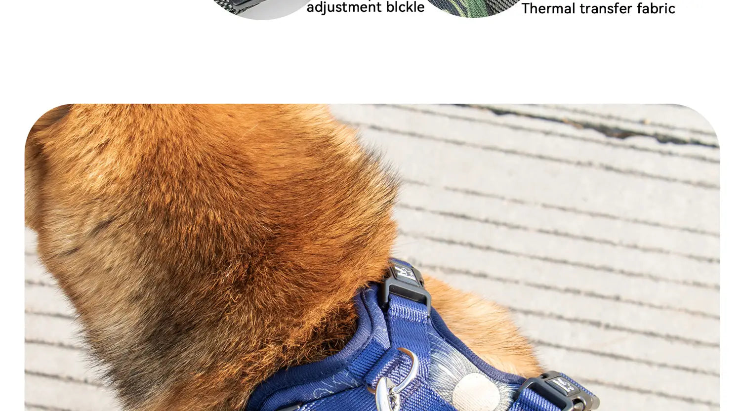 Ensemble de harnais pour animal de compagnie bleu présentant un collier à circonférence du cou réglable et une laisse, avec tissu de transfert thermique et une boucle réglable pour un ajustement sûr.