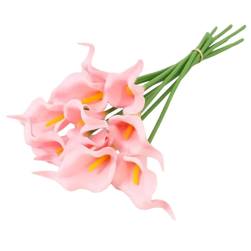 A bouquet of pink calla lily flowers with yellow centers tied by a green band for home decor or wedding decoration