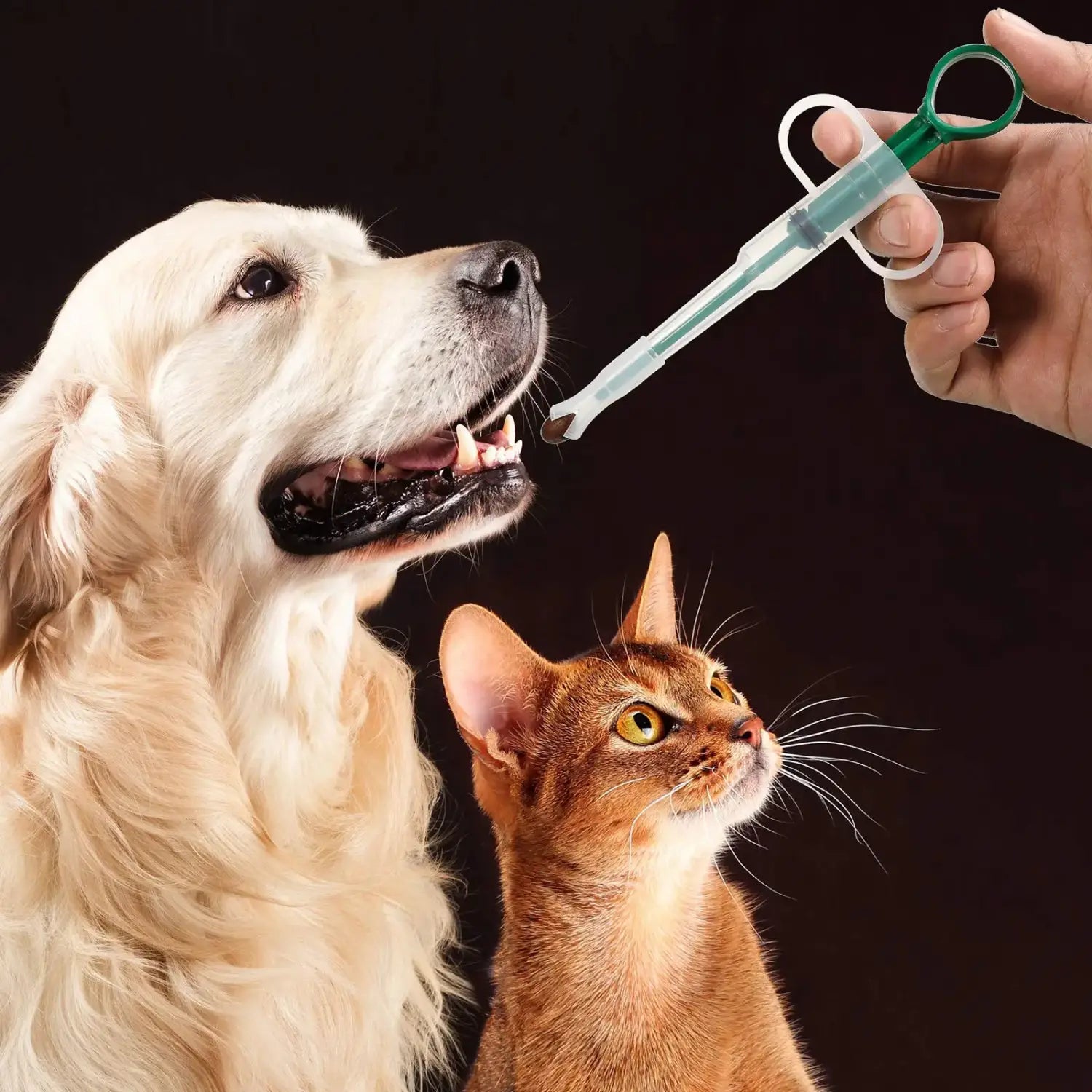 Green and clear plastic pet medication syringe with loop handle and replacement head for use as a pet pill dispenser.