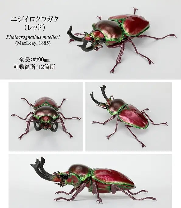 赤と緑の金属質素材で作られ、詳細な虹色の外骨格と目立つ湾曲した角を備えた、職人技で丁寧に製作されたバンダイのノコギリクワガタ完成品モデル玩具です。