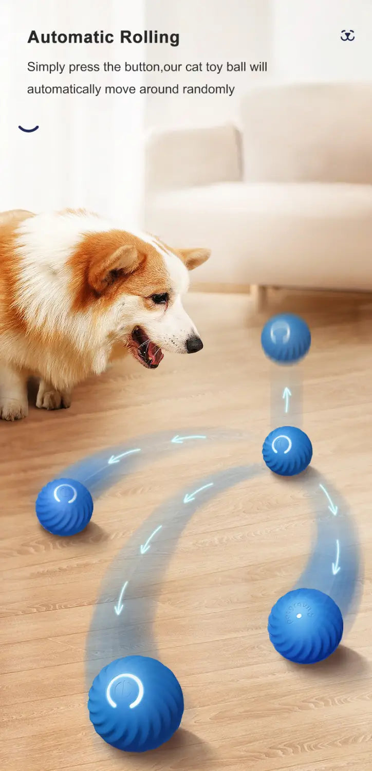 blue textured cat toy balls with a rolling mechanism as interactive dog toys accessories feature visible from a front angle