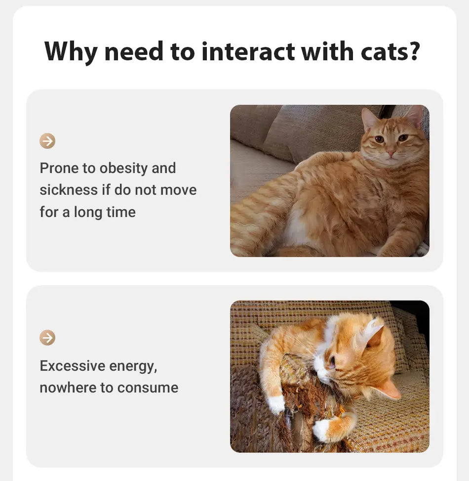a fluffy orange tabby cat with white paws lounging on a couch next to an interactive laser cat toy designed for toys type play