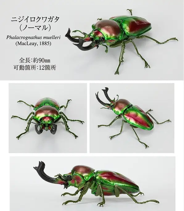 黒い触角を備えた、光沢のある金属質の緑と赤のファラクロクナス・ミュルレリ(Phalacrognathus muelleri)のカブトムシ(?)の置物フィギュアである、バンダイのノコギリクワガタ完成品モデル玩具です。