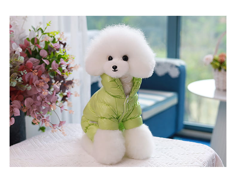 鮮やかな緑のキルティングコットンのペット服用パピー防風冬用コートを着た、ふんわりした白いプードル。暖かさと快適さを目的としています。