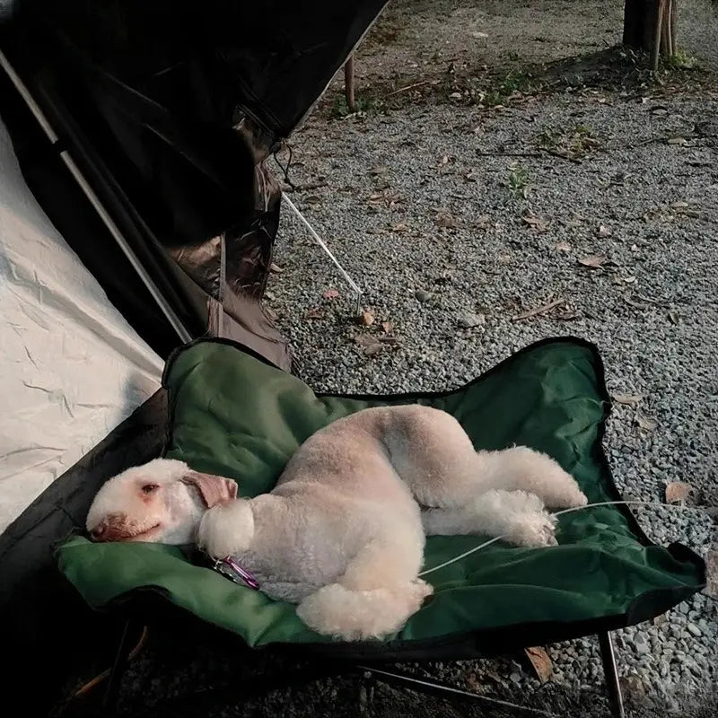 A fluffy cream-colored dog with a curly coat sleeping on a green foldable pet cot with a metal frame model number 1.