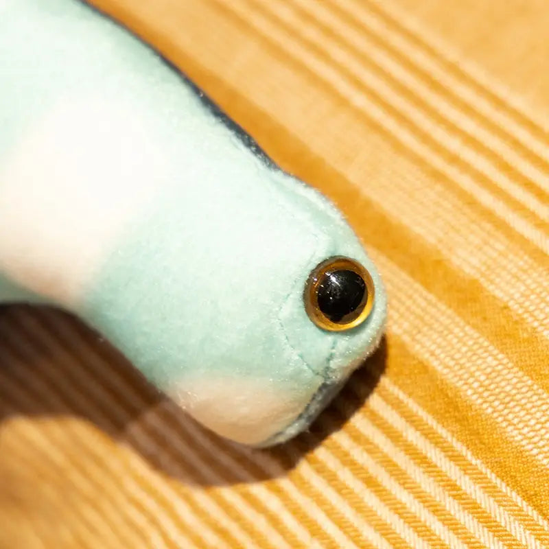 A soft mint-green hammerhead shark plush pillow soft toy with a shiny gold-rimmed black eye.