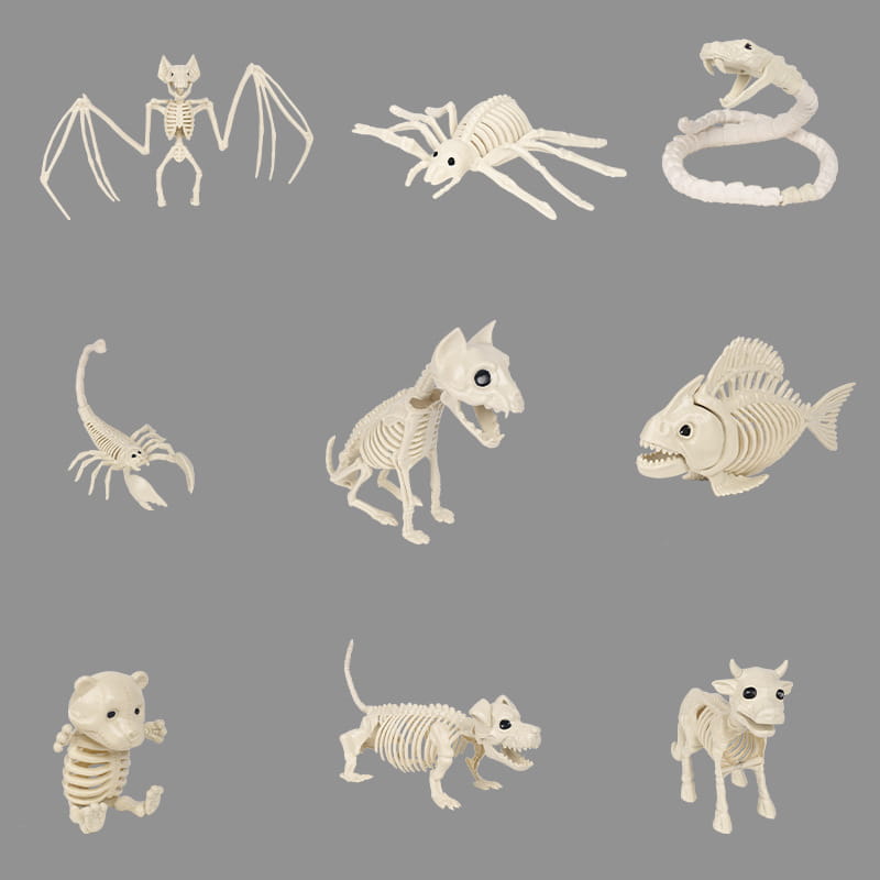 White plastic skeleton animal figurines from the Halloween animal skeleton props set displaying detailed bone structure for festive decoration.