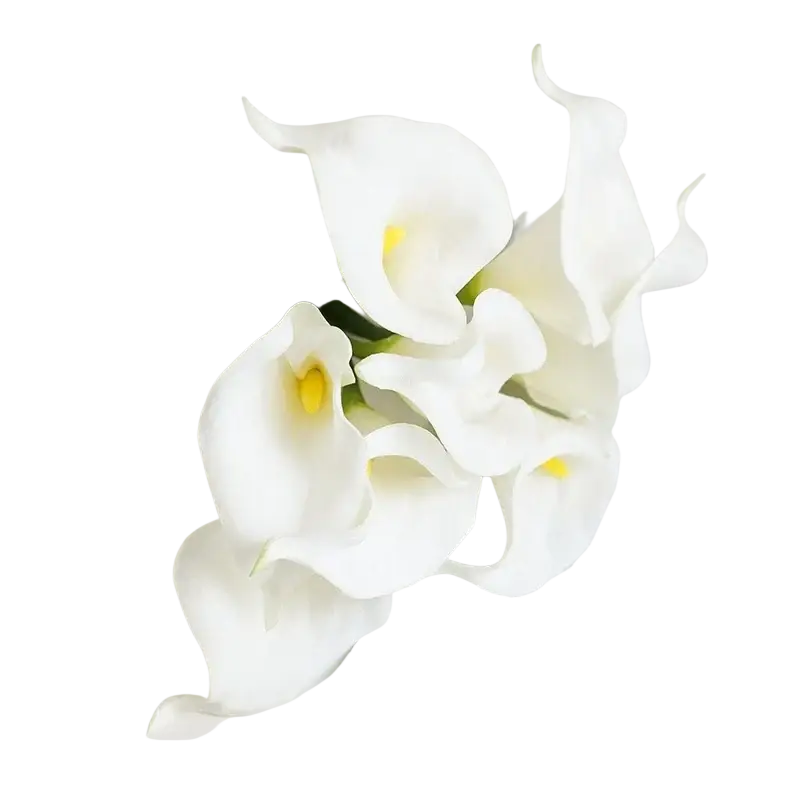 A delicate white calla lily flower bouquet with yellow centers tied with rustic twine viewed from the front