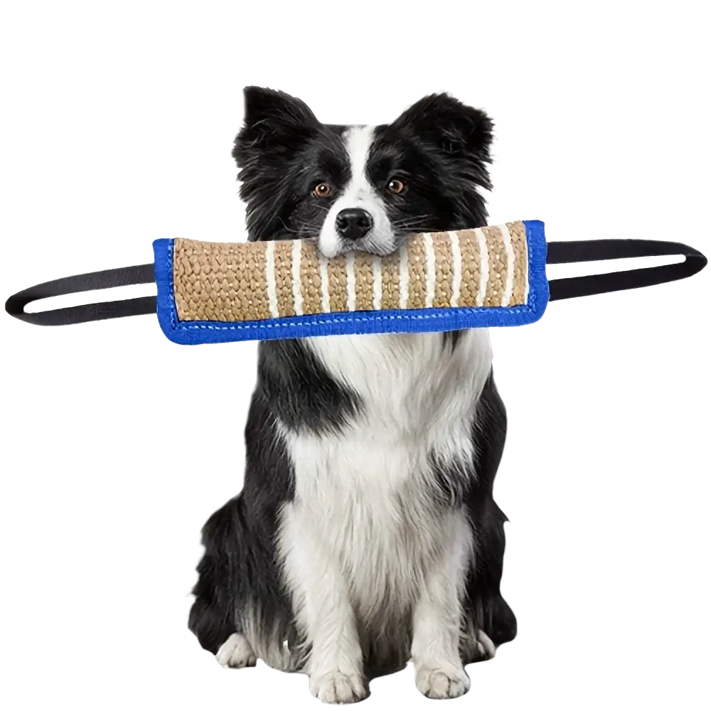 Blue-framed beige and white striped durable jute dog chew toy with black handles for puppies and adult dogs