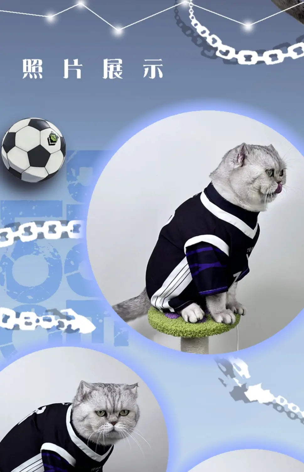 un gato gris de pliegue escocés que lleva un mono de disfraz de cosplay de mascota Nagi Seishiro, en diseño de jersey deportivo a rayas negro y blanco con acentos morados, sentado sobre una plataforma circular verde.