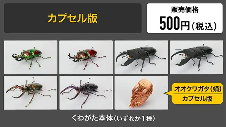画像には、金属質の緑、赤、濃い黒の外骨格を持つ小さなフィギュアを特徴とした、バンダイのノコギリクワガタ完成品モデル玩具のコレクションが表示されています。