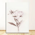 Scandinavian Living Bedroom Room Decoration Pictures Flowers Wall Art Peony Posters Floral Print Protea Rose Canvas Painting