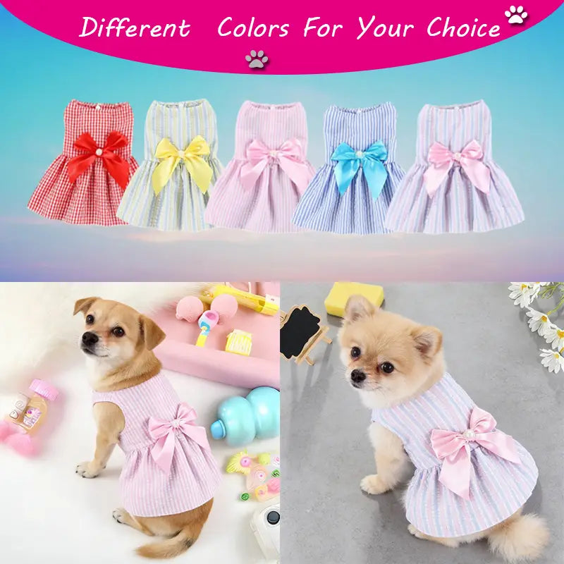 ポリエステル繊維製のピンクのストライプ柄夏用犬用ドレスで、背面にお揃いのリボンが付いており、春夏向けに適し、中国本土で製造されています