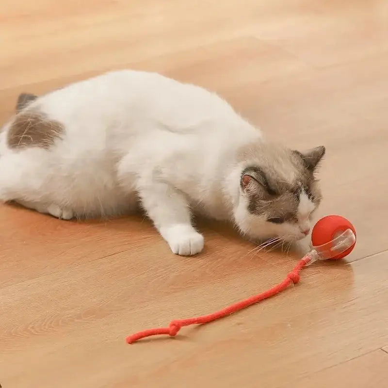 red ball smart ball interactive automatic rolling pet toy with a fuzzy orange string and indicator light stays for engaging play