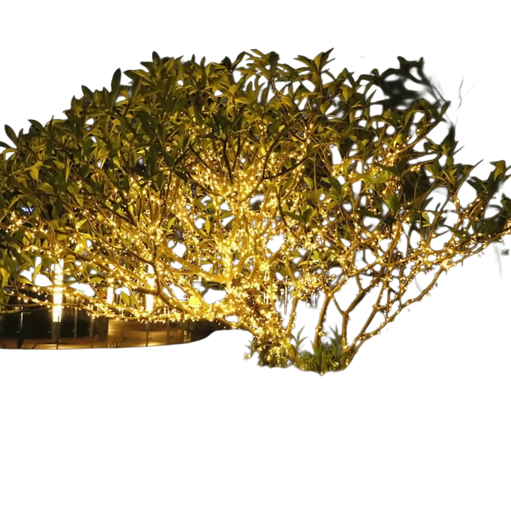 A tree decorated with warm golden led fairy string lights twinkling along its branches with remote control