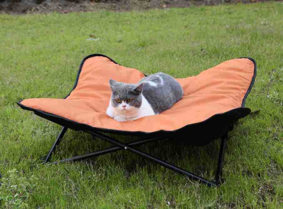 Orange cushioned butterfly-shaped pet bed with black metal frame and legs shown as foldable pet cot model number 1