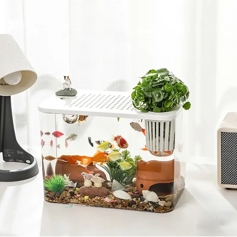 transparent desktop fish tank with white lid features a clear rectangular design with a built-in filtration system and decorative plants for desktop use.