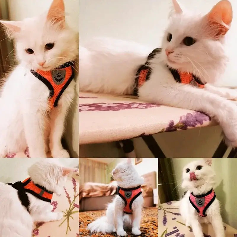 orange and black breathable mesh cat harness with a gray paw print logo featuring breakaway quick release for adjustable secure fit in a cat harness and leash set