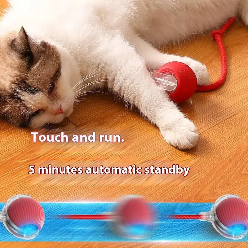 Red spherical smart ball interactive automatic rolling pet toy with clear plastic housing, red cord, and indicator light stays for engaging play.