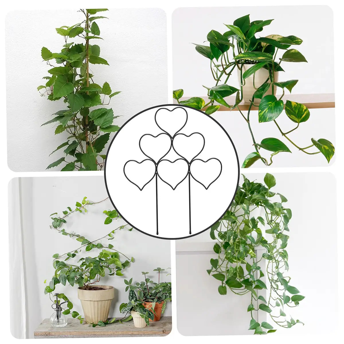 Enrejado para plantas de metal con forma de corazón, con estacas verticales esbeltas y un diseño minimalista con contorno negro, que ofrece un soporte resistente para plantas trepadoras y accesorios para plantas.