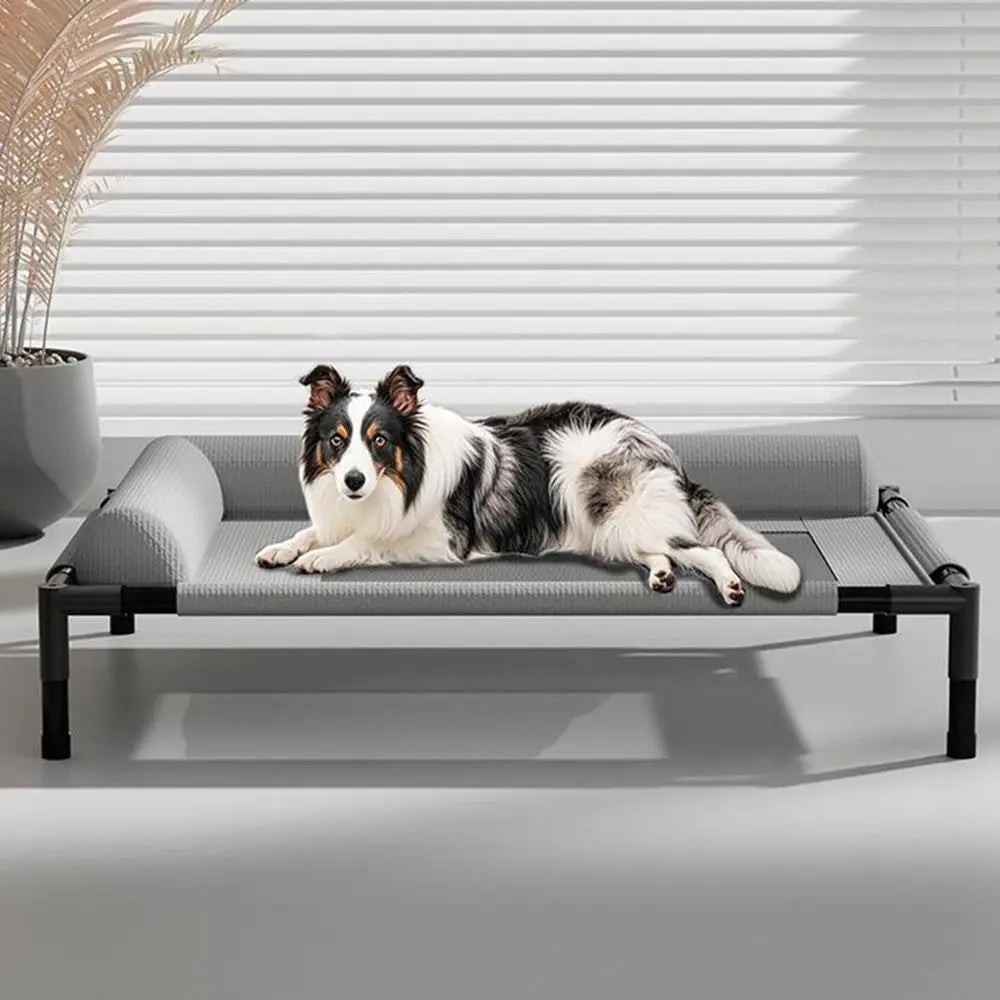 Gray mesh elevated dog bed with black metal frame and padded headrest providing breathable raised pet cot for comfort and support.