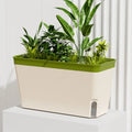 High Quality Modern Self Watering Planter Pots Decorative Visual Water Level Window Herb Planter Box Indoor Planter Vegetables