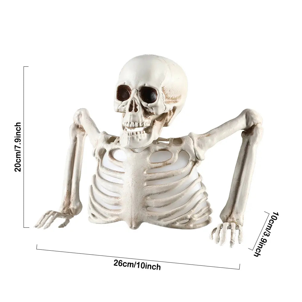 Figura de esqueleto de plástico blanco con una estructura ósea detallada y cuencas oculares oscuras; accesorio de Halloween de esqueleto luminoso.