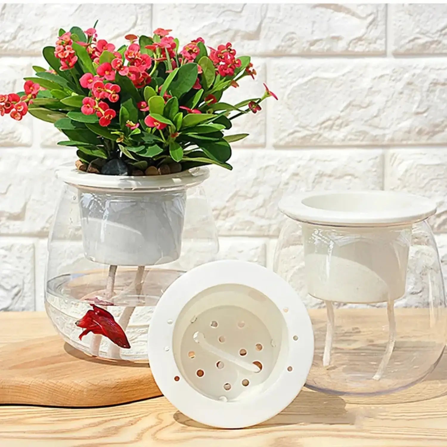 白色のセラミックインサートとパンチング加工のフタを備えた、鮮やかな赤い花の緑の植物を収める、セルフウォーターリングのミニプラスチック多肉植物ポット6個セット。