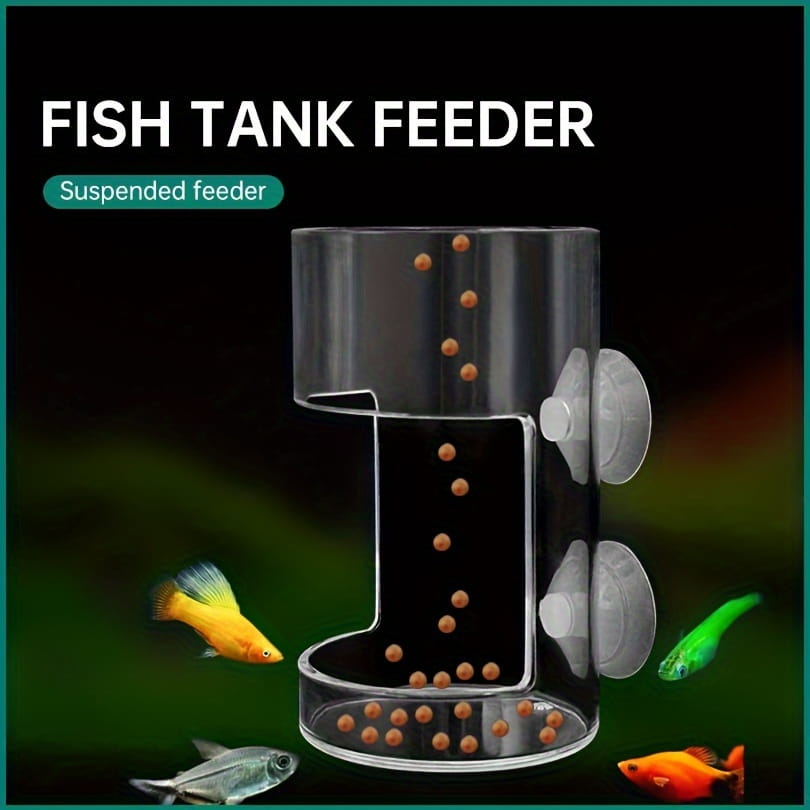 Anneau d’alimentation flottant pour poissons en acrylique transparent, avec trois ventouses, assurant une suspension stable dans un environnement d’aquarium